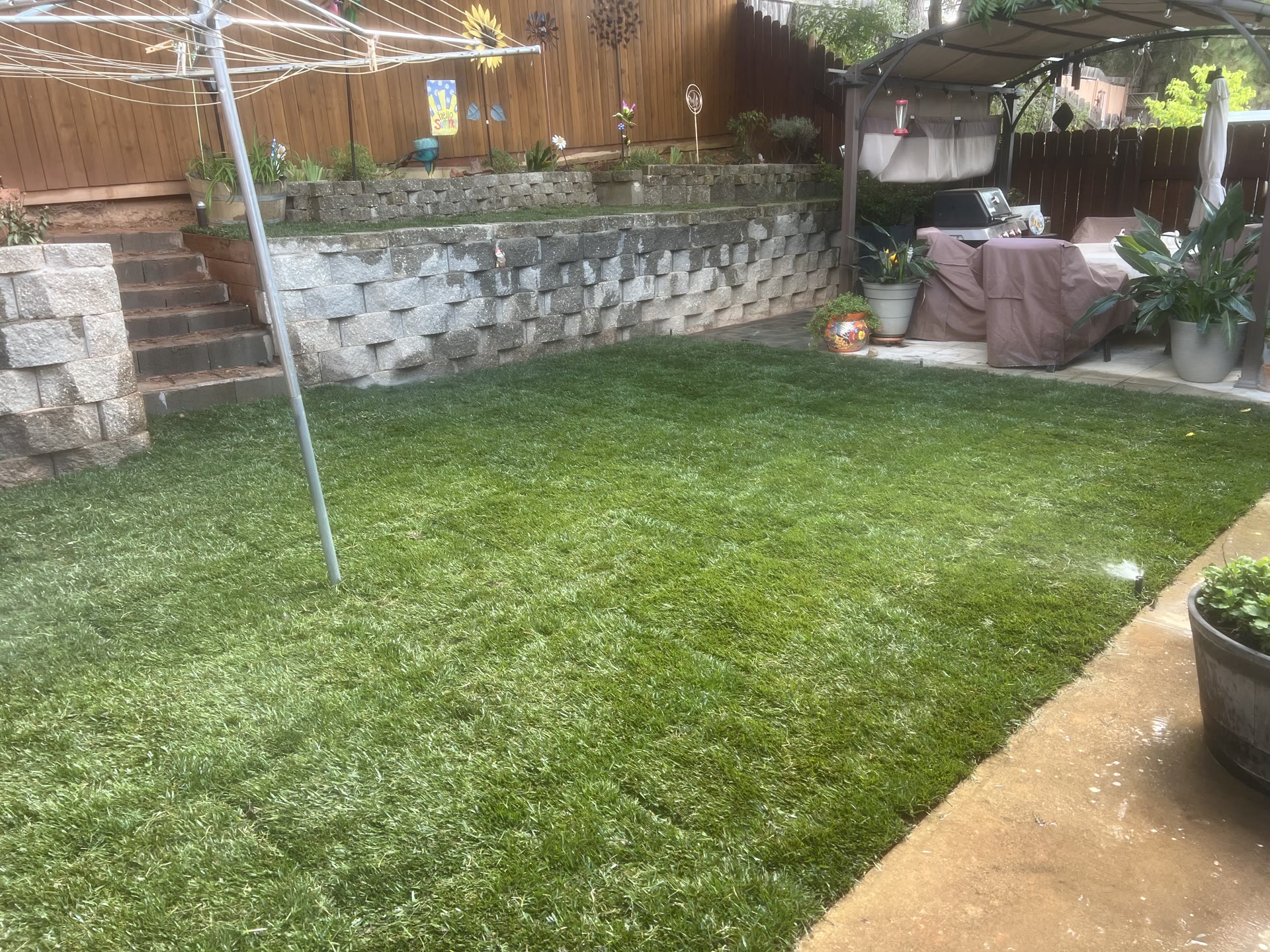 Premium Artificial Turf Installation